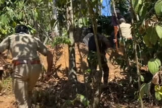 Kerala Wayanad farmer dies from tiger attack villagers protest