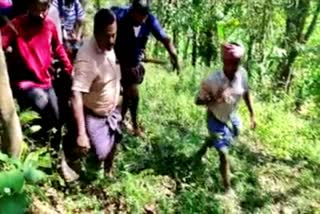 farmer-killed-in-tiger-attack