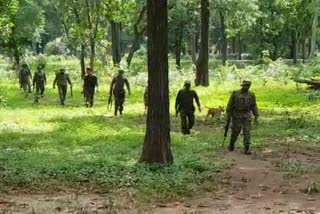 CRPF naxal operation