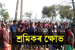 Tea workers protest in Dibrugarh