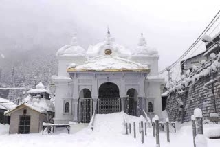 Snowfall in Gangotri