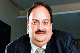 Mehul Choksi's bribery of Antigua officials exposed