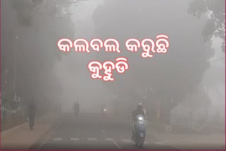 ଅନୁଗୋଳରେ ଘନ କୁହୁଡି ଆସ୍ତରଣ