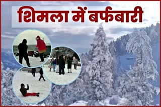 Snowfall in Shimla and Kufri.