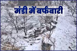 Snowfall In Mandi.