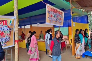 teok-jatiya-vidyalaya-students-organise-bhogali-mela