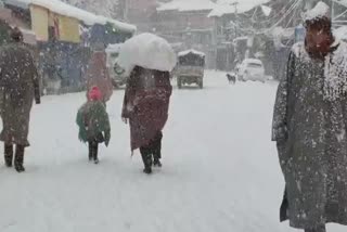 snowfall in shopian