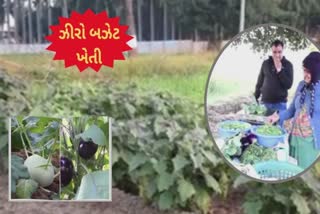 Sabarkantha : શિક્ષકે ઝેરમુક્ત ખેતી કરી લોકોને રોગમુક્ત બનાવવાનો કર્યો પ્રયાસ