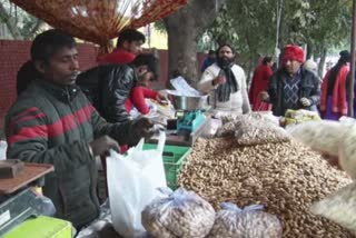 migrant workers selling groundnuts in Chandigarh
