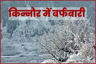 Snowfall in Kinnaur.