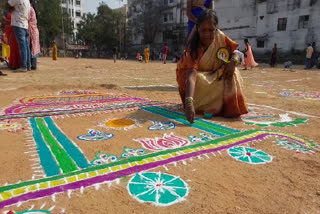 Sankranti Celebrations