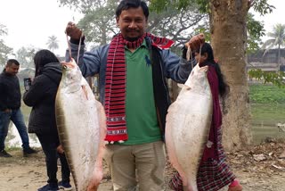 Fish market at the initiative of fisheries department in the occasiion of Magh Bihu in Nagaon