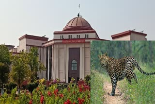 Bilaspur HighCourt