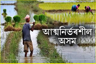 Assam agriculture sector