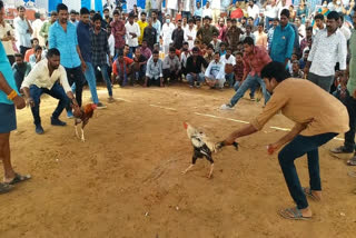 both Godavari districts