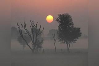 Makar Sankranti 2023