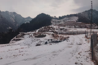 Dhanaulti