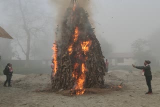 Magh Bihu celebrated with burning of Meji in Kalgachia Barpeta