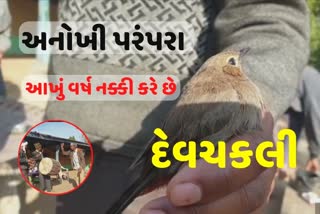 ઓહો! વરસાદ કે દુષ્કાળ નક્કી કરતો દિવસ એટલે પણ ઉત્તરાયણ