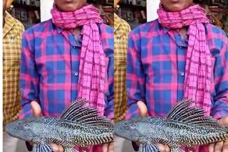 tiger-fish-of-south-america-found-in-chhattisgarh