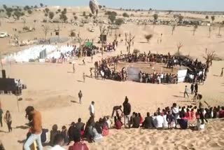 international camel festival