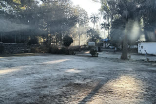 Cold wave conditions prevail in Rajasthan