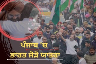 Bharat Jodo Yatra In Punjab, Rahul Gandhi in Punjab