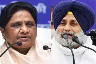 SAD BSP Alliance in Punjab