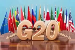 flying object banned during G 20 Meeting