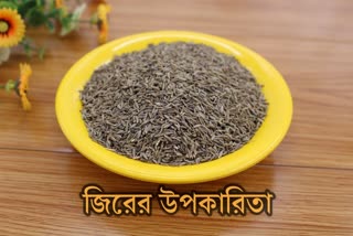 Cumin News