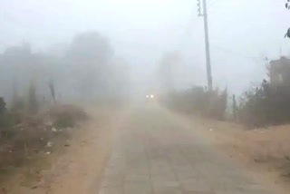 haryana weather updates cold wave in haryana temperature in haryana