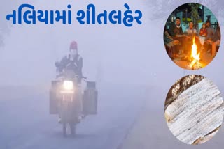 કચ્છનું નલિયા ઠંડુગાર, કલેક્ટરે કામ વગર બહાર ન નીકળવા કરી અપીલ