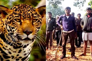 Leopard surrounded by villagers