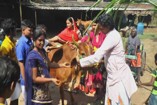 ஈரோடு முழுவதும் களைகட்டும் மாட்டுப் பொங்கல் கொண்டாட்டம்