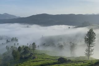 Lohart Estate and gap road in Munnar  ലോഹാർട്ട് എസ്റ്റേറ്റ്  മൂന്നാറിലെ മനോഹരമായ ഡെസ്റ്റിനേഷന്‍  ഗ്യാപ്പ് റോഡ്  കൊച്ചി ധനുഷ് കോടി ദേശീയപാത  മൂന്നാർ ദേവികുളം  kerala news updates  latest news in idukki  Lohart Estate  gap road in Munnar  gap road view point  gap road view point in munnar  view point in idukki  tourist destination in idukki