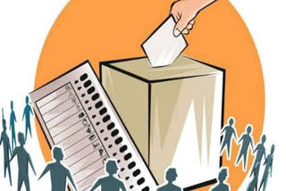 Graduate constituency election