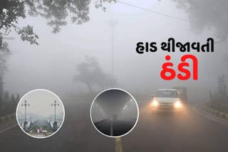 Today Weather Updates: આવનારા 4 દિવસ ઠંડી થથરાવી દેશે, ઉ.ભારતમાં ભુક્કા કાઢ્યા