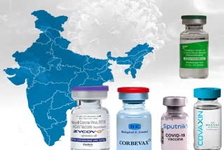 ભારત સરકારે જણાવ્યું કે તમામ કોરોના રસીની આડ અસરો શું છે