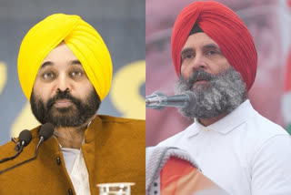 CM Bhagwant Mann blunt reply to Rahul Gandhi