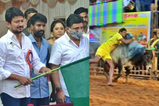 Jallikattu begins at Alanganallur