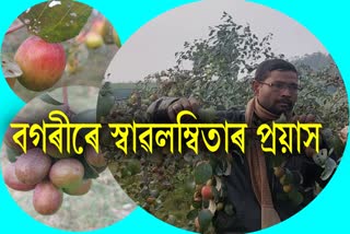 Melon cultivation in Dhubri