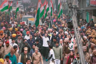 bharat jodo yatra in himachal