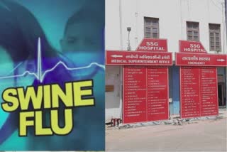 Swine Flu Influenza variant in Vadodara : ગર્ભવતી મહિલા સ્વાઈન ફ્લૂના ઇન્ફ્લુએન્ઝા વેરિયન્ટથી સંક્રમિત, એસએસજીમાં દાખલ