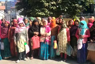 Payment due of women workers in Alwar under Indira Gandhi Urban Employment Guarantee Scheme