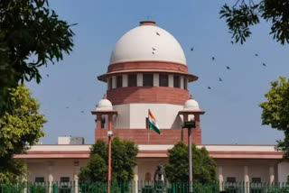 AP Govt petition in Supreme Court