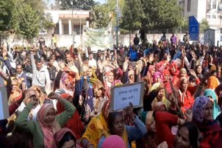 Work Boycott by University and College Employees