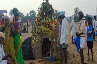 a-special-celebration-in-todlarhatti-in-nanniwala-range