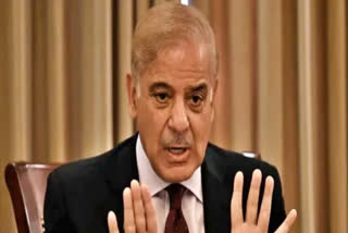 Pakistan PM Shehbaz Sharif