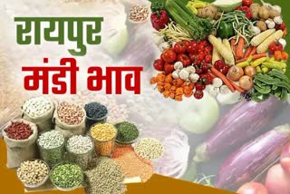 Vegetable Price Raipur Today