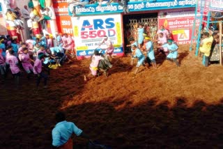 Alanganallur Jallikattu